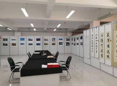 银川市西夏区人民政府 积极承办展览展示 助力区域发展新篇章